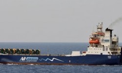 BRIDGE – 5292DWT/1989 ITL BLT, STRN RAMP, 54 TRUCKS - RORO