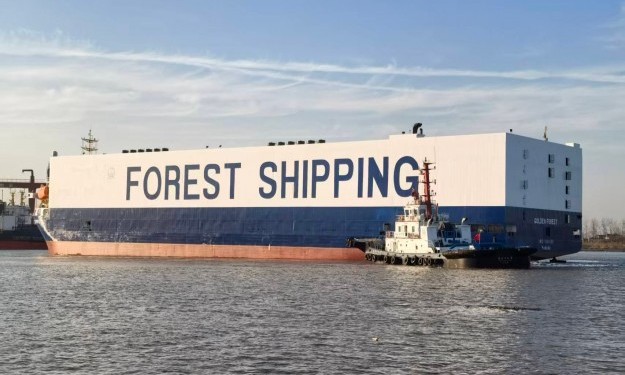 GOLDEN FOREST – 2022 CHINA BLT 2200 CARS CAR CARRIER