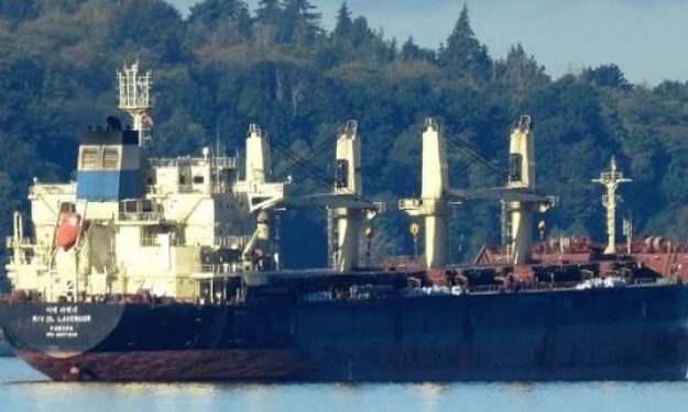 DL LAVENDER – 35194DWT/2014 KOR BLT HANDYSIZE