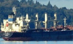 DL LAVENDER – 35194DWT/2014 KOR BLT HANDYSIZE