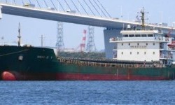 SHENG JIE 9 – 9536DWT/2019 CHR BLT BOX/SD