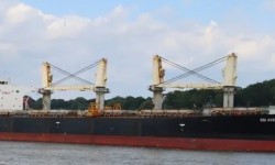 SSI AVENGER – 52949DWT/2004 OSHIMA BLT SUPRAMAX