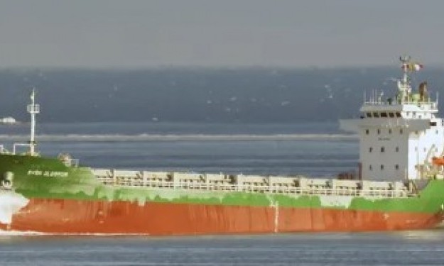 HALDI – 5082DWT/2008 CHR BLT GLSS GC/223 TEU