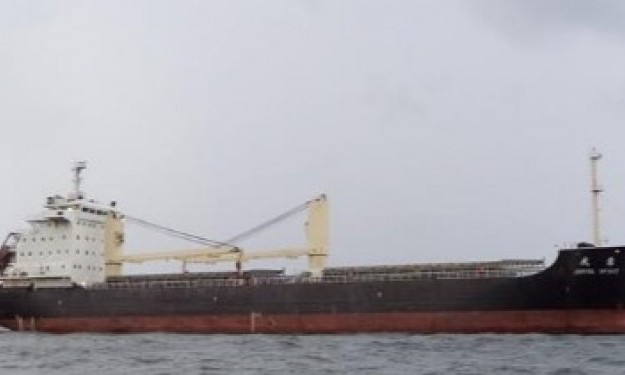 JOYFUL SPIRIT – 12271DWT/2011 CHR GEARED/BOX/TWEEN