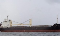 JOYFUL SPIRIT – 12271DWT/2011 CHR GEARED/BOX/TWEEN