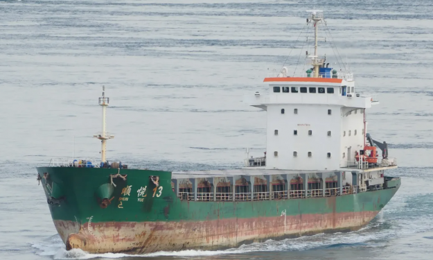 SEA MOON – GC / 5436 DWT / 2011 BLT CHN / RED SEA