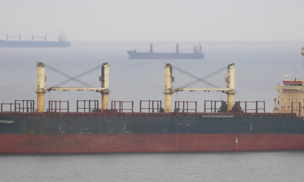 OCEAN ROSEMARY – BC / HANDYMAX / 43769 DWT / 1996 BLT KOR / GRD / FEA