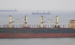 OCEAN ROSEMARY – BC / HANDYMAX / 43769 DWT /  1996 BLT KOR  / GRD / FEA