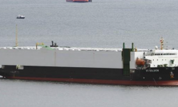 HT GOLDEN  – 2021 CHINA BLT RORO 1002 CARS / PCC