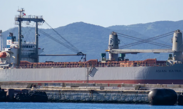 ASIAN KATRA – GC / 10299 DWT / 2004 BLT JPN / GRD