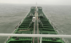 NEW BL DOLPHIN  – 2011 BLT / 14790 DWT / 16880 CBM / ICE CLASS B / HANDY PROD TANKER - INDO