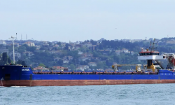 NK PEARL – 3187 DWT / 1998 BLT ROMANIA / 190TEU / GC