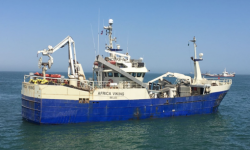 AFRICA VIKING  – 84 IRL BLT - 434 M3 6 RSW CAP - PURSE SEINER