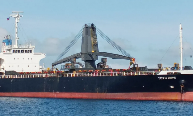 TOYO HOPE – GC / TWEEN DECKER / 10262 DWT /2005 BLT JPN / GEARED / FEA