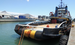 PSD-1 – 4.81M DRAFT- 1984 NETHERLANDS BLT