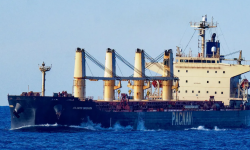 CHAKRAVATI – BC / 55814 DWT / 2006 BLT JPN / GRD / SUPRAMAX / SEA
