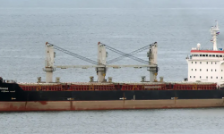 MESANA – 16800DWT/2009 CHR BLT GEARED SEMI-BOX SD