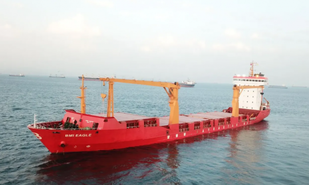 BMI EAGLE – 6231 DWT / 1999 TRK BLT / 466 TEU / GRD