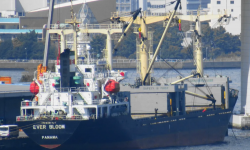 EVER BLOOM – GC / 7351 DWT / 2008 BLT CHN / BOX / GRD