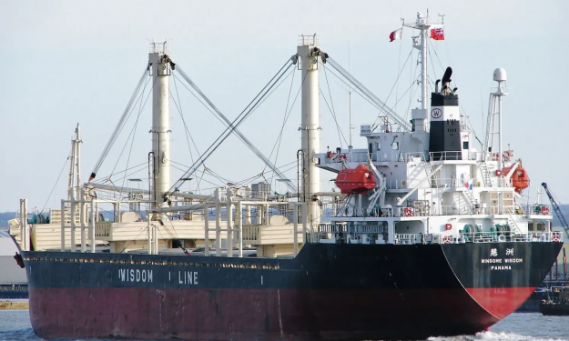 NEW HOPE – 11600DWT/2001 JPN BLT GEARED SINGLE DECKER