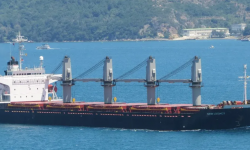 NEW LEGACY – HANDY BC / 28665 DWT /1996 BLT KANDA JPN / GRD / SID