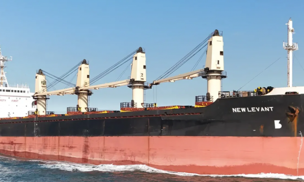 NEW LEVANT – HANDY BC / 27321 DWT / 1995 JPN BLT / GRD / SID