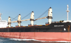 NEW LEVANT – HANDY BC / 27321 DWT / 1995 JPN BLT / GRD / SID