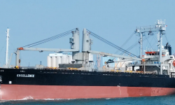 EXCELLENCE   – GC / TWEEN DECKER / 7942 DWT /2002 BLT JPN / GEARED / FEA