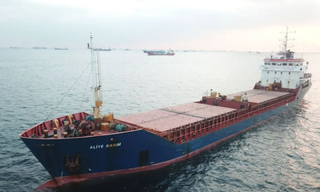 ALIYE HANIM – 3532 DWT / 2007 BLT TRK / GC / BOX