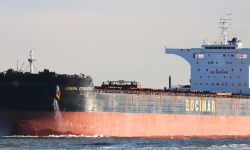 MINERAL STONEHENGE – 175713 DWT / 2010 BLT CHR CAPESIZE