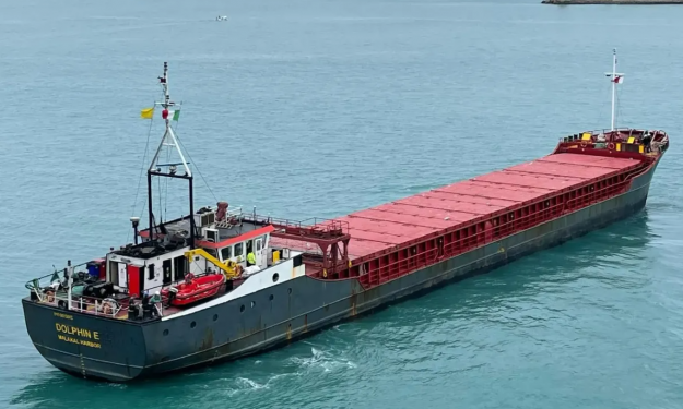 DOLPHIN E – GC / 1782 DWT / 1991 BLT NTH / BSEA