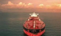 FORTUNE RICH – GC / 12399 DWT / 2023 BLT CHN / INDO