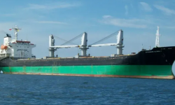 SYCAMORE GLOBAL 1 – 18315/1009 JPN BLT SMALL HANDY