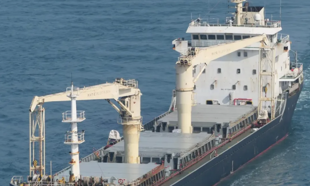 LIANG DA – MINI BULKER / 10880 DWT / 2015 BLT CHR / GRD / FEA