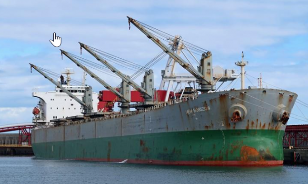 NEW HORIZON  – 77834DWT/2004 TAIWAN BLT GEARED PANAMAX