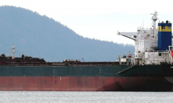 LAKE DOLPHIN  – 179418 DWT / 2011 BLT KRS CAPESIZE